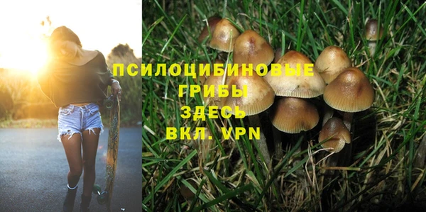 ALPHA PVP Михайлов